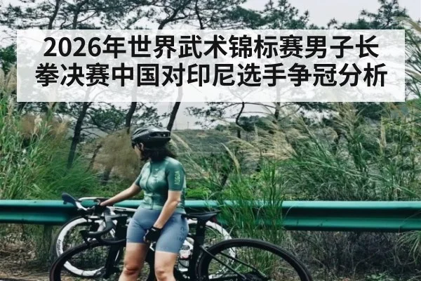 2026年世界武术锦标赛男子长拳决赛中国对印尼选手争冠分析